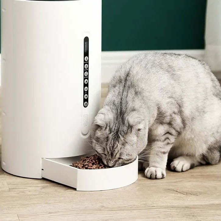 Pet Smart Feeder Pet Supplies Timing | Phonax Services